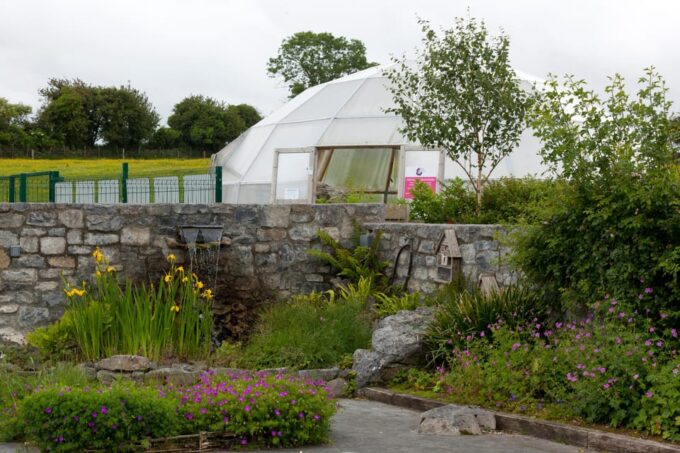 Burren Botany Experience - Reserving and Cancellation Policy