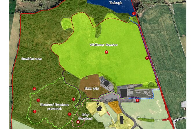 Burren Nature Sanctuary - Accessibility and Transportation