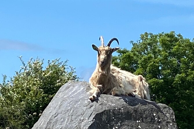 Burren Nature Sanctuary - On-Site Amenities