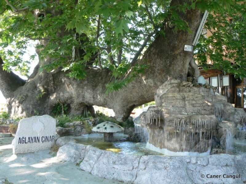 Bursa: Green Daily Tour - Scenic Cable Car Ride