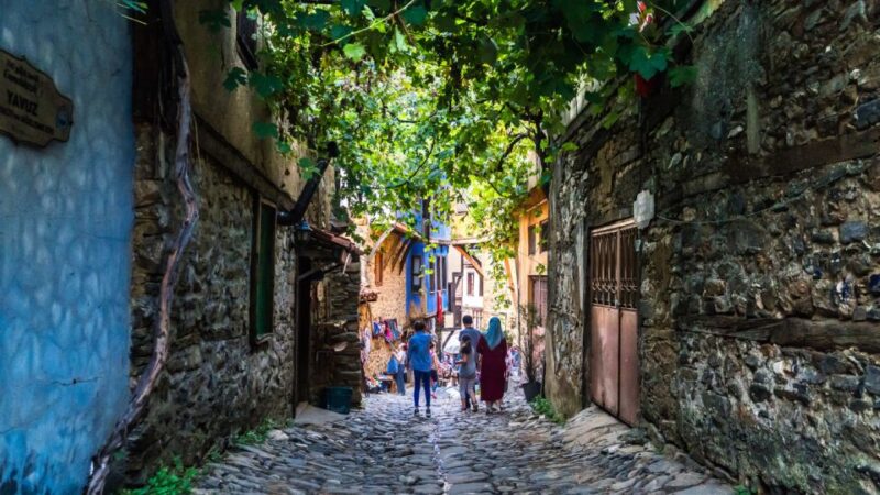 Bursa: Private Walking Tour - Tour Overview