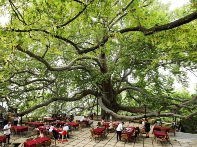 Bursa Uludag Tour With Cable Car & Lunch - Journey Details