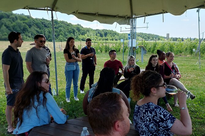Burst Out and Bubble Up Ice Wine Tour - Comfortable Air-Conditioned Vehicle Transportation