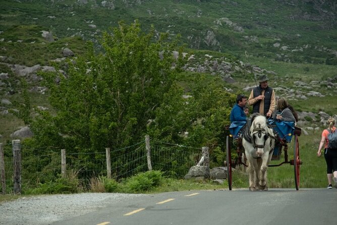 Bus, Boat & Jaunting Cart Tour (Jaunting Cart Paid Separately) - Tour Duration
