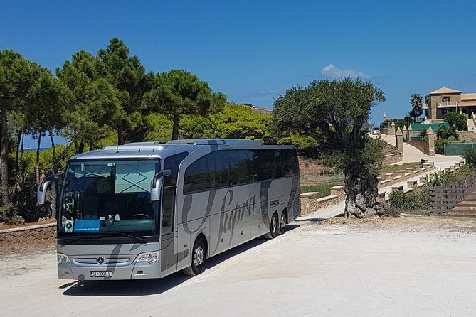 Bus / Coach Excursion - Key Points