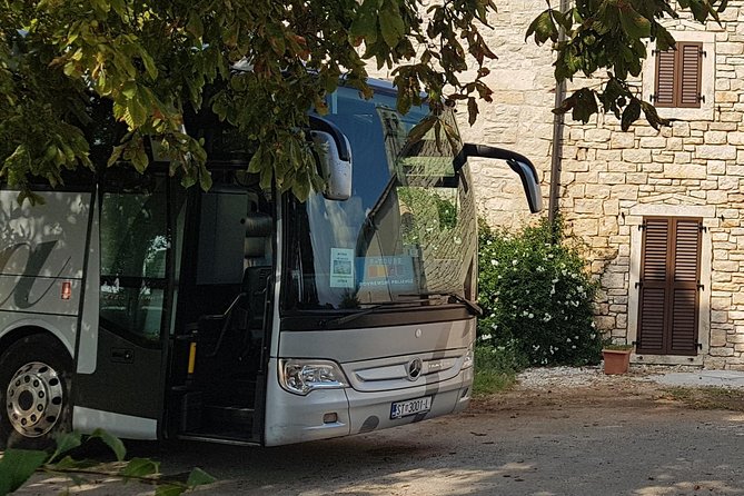 Bus / Coach Excursion - Capacity and Features
