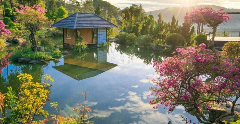 Bus From Da Lat to Nha Trang (One Way) - Limousine Car - Passenger Restrictions