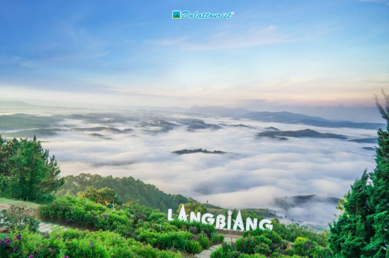 Bus From Da Lat to Nha Trang (One Way) - VIP Car With 12 Seats - Children and Pregnant Women Policy