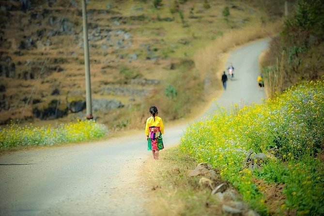 Bus From Hanoi to Ha Giang & Bus Ha Giang to Hanoi - All Inclusive - Overview of the Service