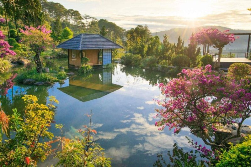 Bus From Nha Trang to Da Lat (One Way) - Limousine Car - Journey Experience and Highlights