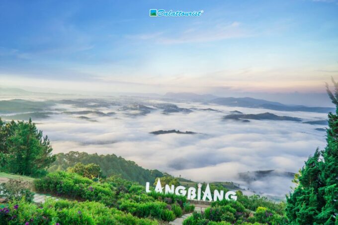 Bus From Nha Trang to Da Lat (One-Way) - VIP Car With 12 Seats - Passenger Insurance