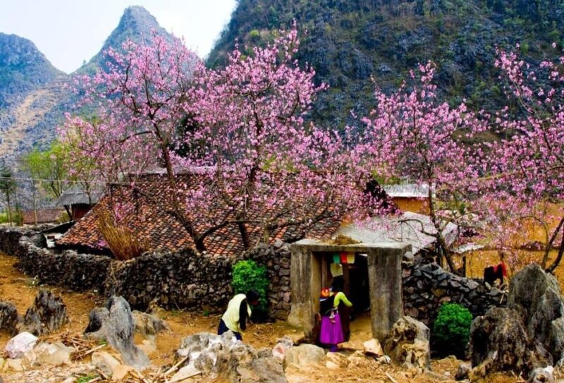 Bus Hanoi to Ha Giang - Restrictions and Requirements