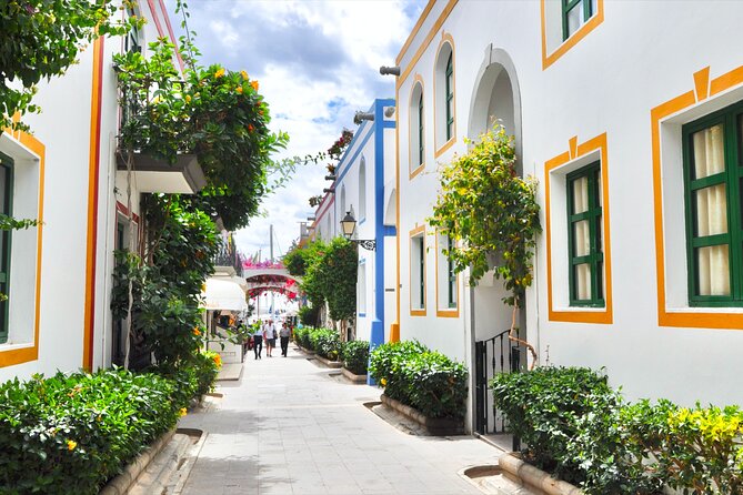 Bus to the Local Market of Puerto De Mogan - Transportation and Logistics