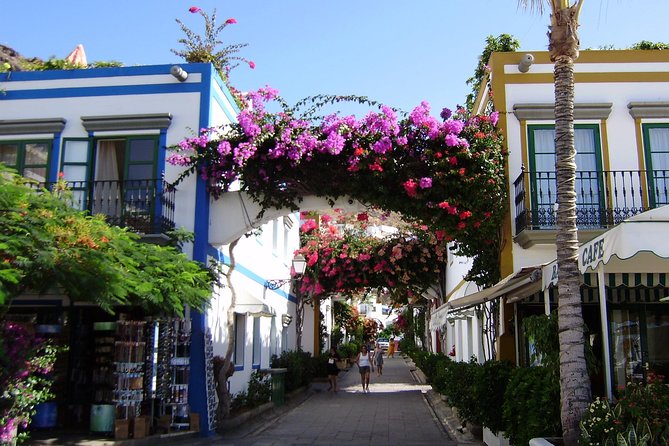 Bus to the Local Market of Puerto De Mogan - Highlights of the Market Experience