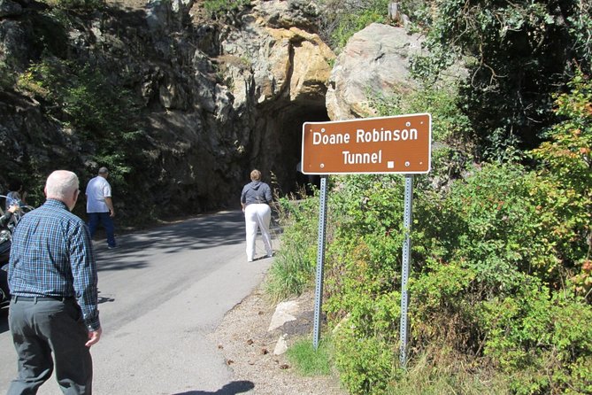 Bus Tour of Mount Rushmore and the Black Hills - Custer State Park