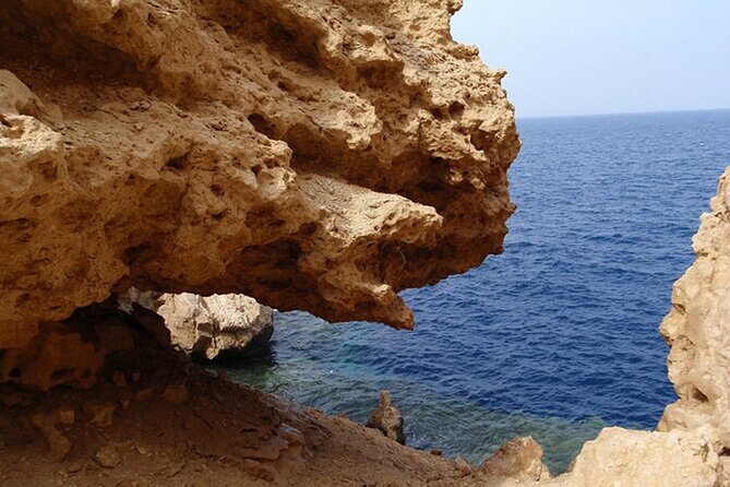 Bus Tour to Ras Mohamed From Sharm El Sheikh - Important Tips