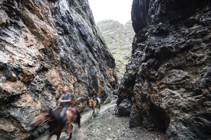 Bus Tour to Visit Gobi 4 Day - Important Information