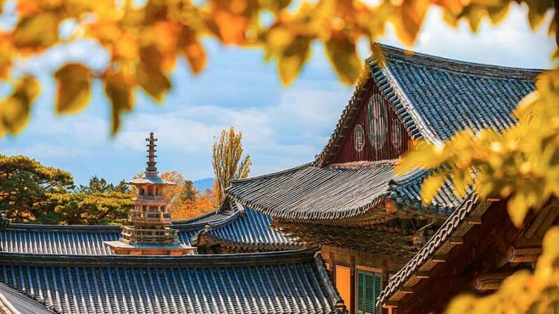 Busan: 7 Highlights Gyeongju City One Day Tour - What We Think: The Value and Who It’s For