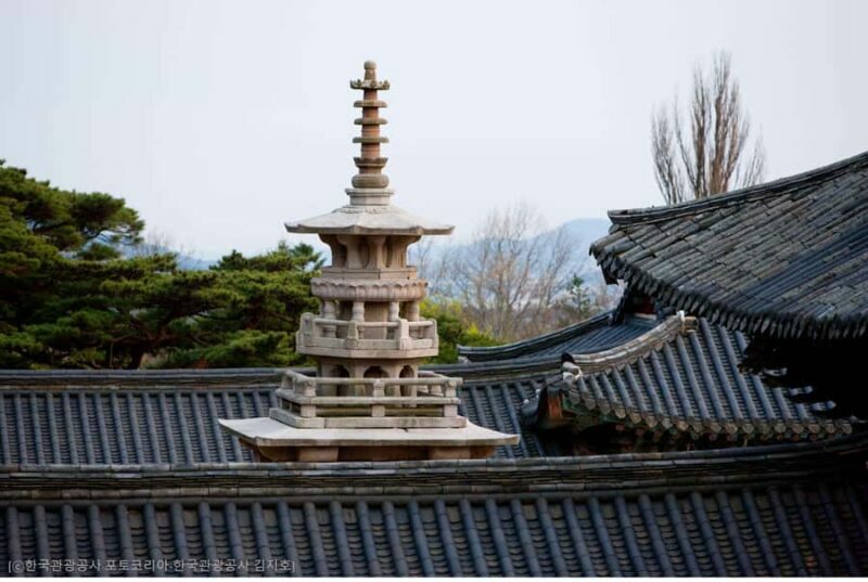Busan: 7 Highlights Gyeongju City One Day Tour - The Sum Up