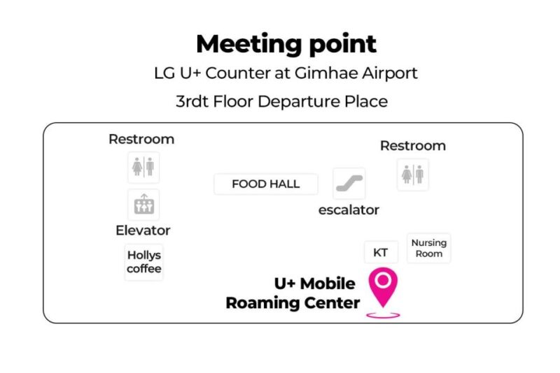 Busan Airport: Traveler SIM and Public Transportation Card - Product Overview