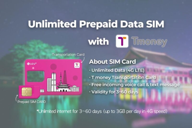 Busan Airport: Traveler SIM and Public Transportation Card - Unlocked Phone Requirements
