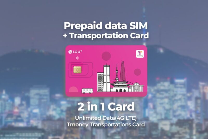 Busan Airport: Traveler SIM and Public Transportation Card - Purchase Limitations