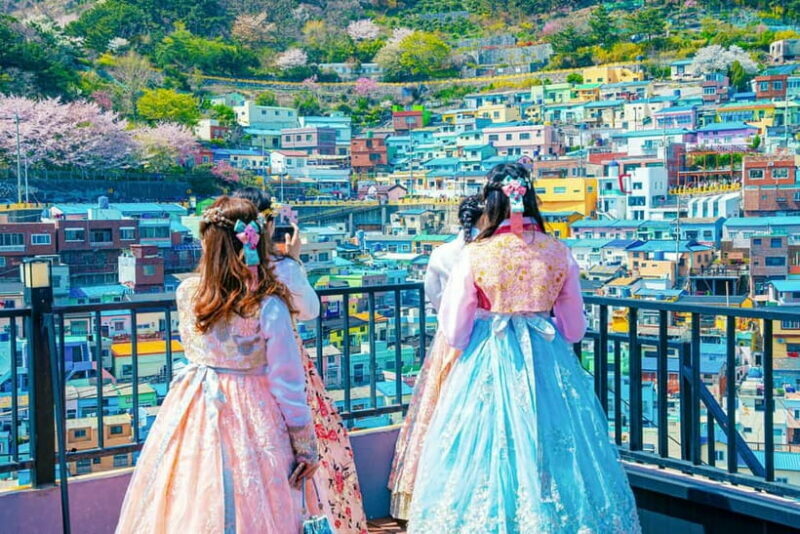 Busan: Coastal Wonders & Cultural Gems Tour opt. Sky Capsule - Practical Tips for Participants
