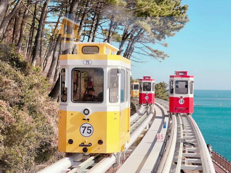 Busan: Coastal Wonders & Cultural Gems Tour opt. Sky Capsule - Who Will Enjoy This Tour?