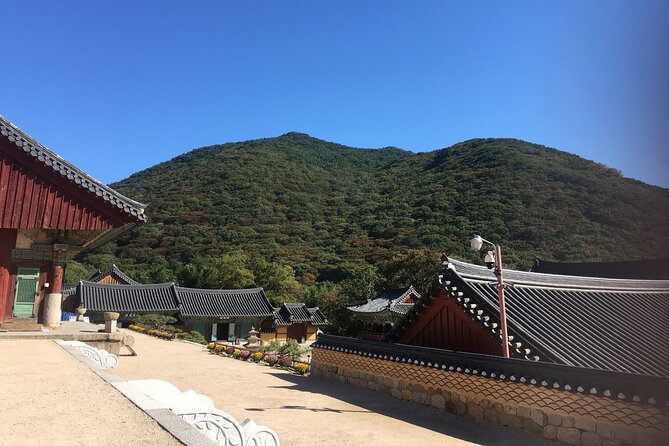 Busan Day Trip Including Gamcheon Culture Village From Seoul by KTX Train - Sampling Traditional Korean Cuisine