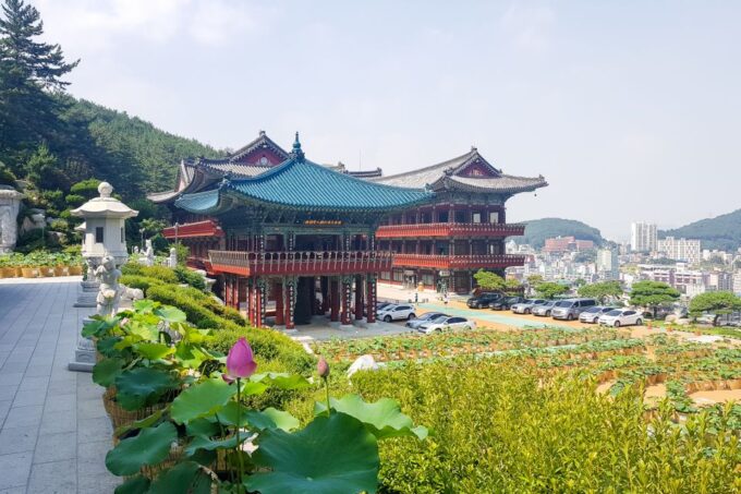 Busan: Day Trip With Gamcheon Culture Village and Sky Walk - Dining Experience