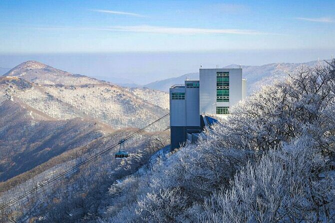 Busan Discovery Tour with Snow and UNESCO Spot - A Closer Look at the Busan Discovery Tour