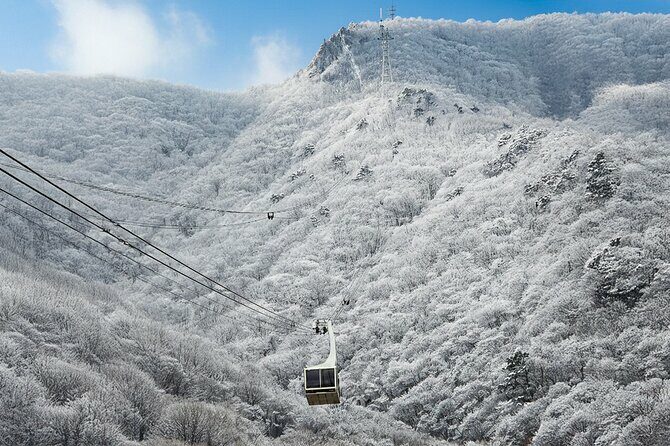 Busan Discovery Tour with Snow and UNESCO Spot - What Travelers Say