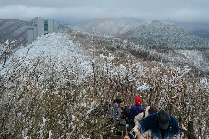 Busan Discovery Tour with Snow and UNESCO Spot - The Sum Up: Who Is This Tour Best For?
