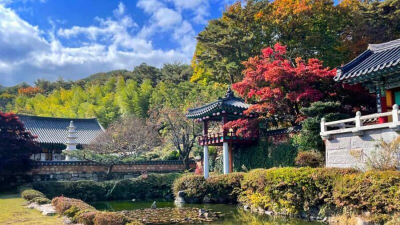 Busan: Discovery Tour With Snow & UNESCO Spot - Key Points