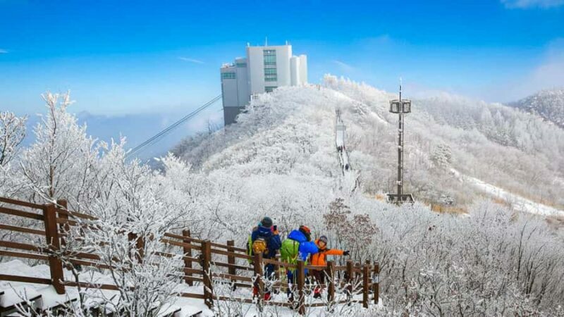 Busan: Discovery Tour With Snow & UNESCO Spot - An In-Depth Look at the Tour Itinerary