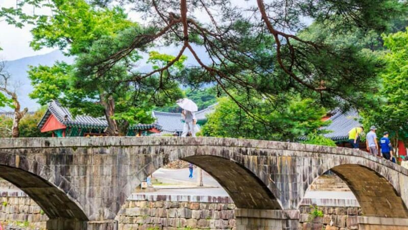 Busan: Discovery Tour With Snow & UNESCO Spot - Who Should Consider This Tour