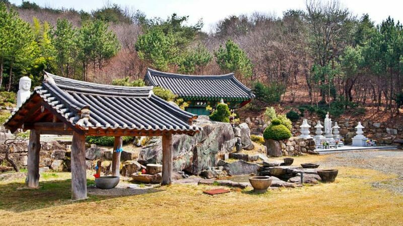 Busan: Discovery Tour With Snow & UNESCO Spot - Final Thoughts