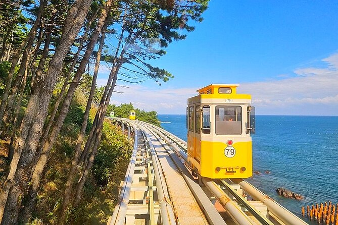 Busan Essential Private Tour With Heaedong Yonggungsa and Gamcheon Village - Guide Services