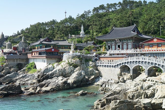 Busan Essential Private Tour With Heaedong Yonggungsa and Gamcheon Village - Important Notes