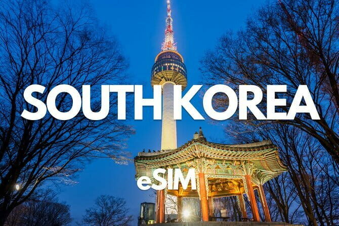 Busan: Food Crawl with Fish Market, Soju Tents & Local Snacks - Final Thoughts