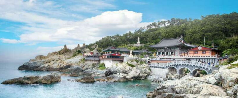 Busan: Full-Day City Tour with Taejongdae, Gamcheon & More - Key Points