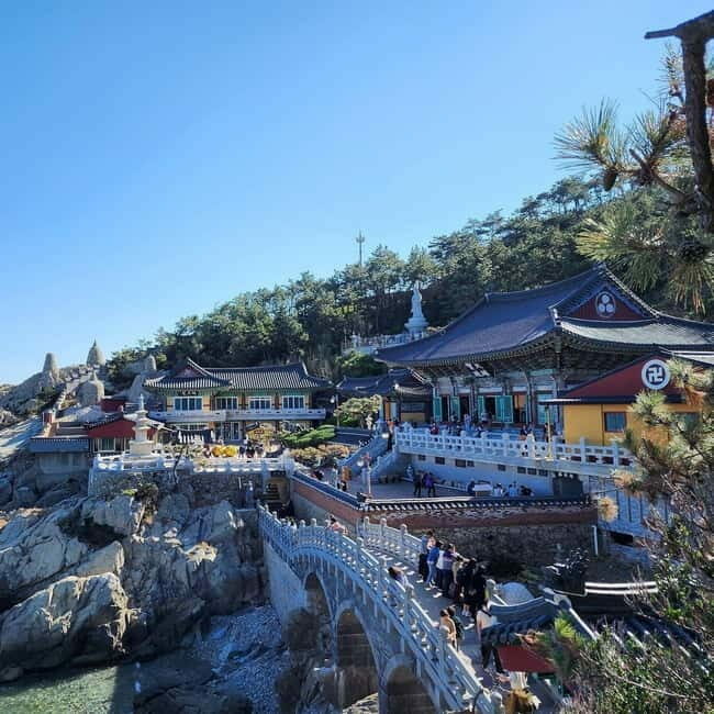 Busan: Full-Day Tour Unmissable things to do in Busan - An In-Depth Look at the Busan Full-Day Tour