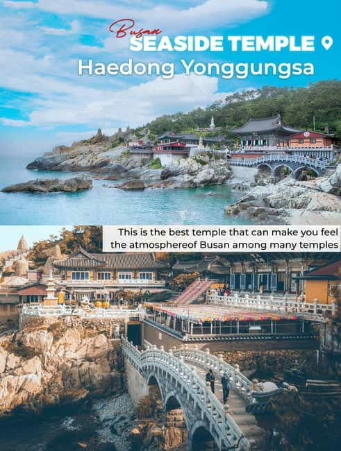 Busan: Full-Day Tour Unmissable things to do in Busan - Practical Details and Value