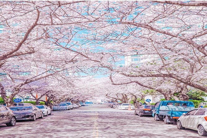 Busan Guided Small Group Tour for Up to 6 Guests. - Authentic Local Experiences