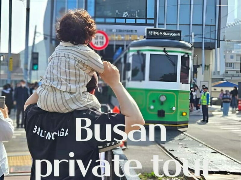 Busan / Gyeongju Customizable Private Tour (up to 8pax) - Key Points