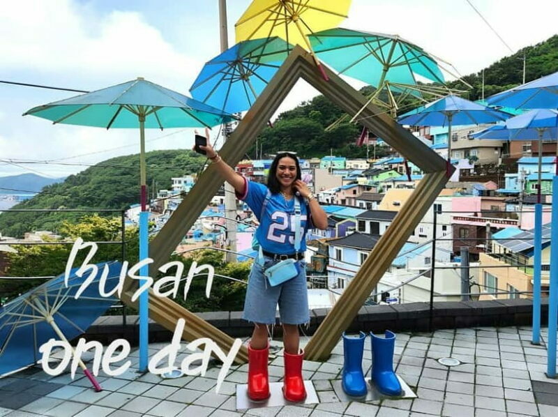Busan / Gyeongju Customizable Private Tour (up to 8pax) - What Does the Itinerary Look Like?