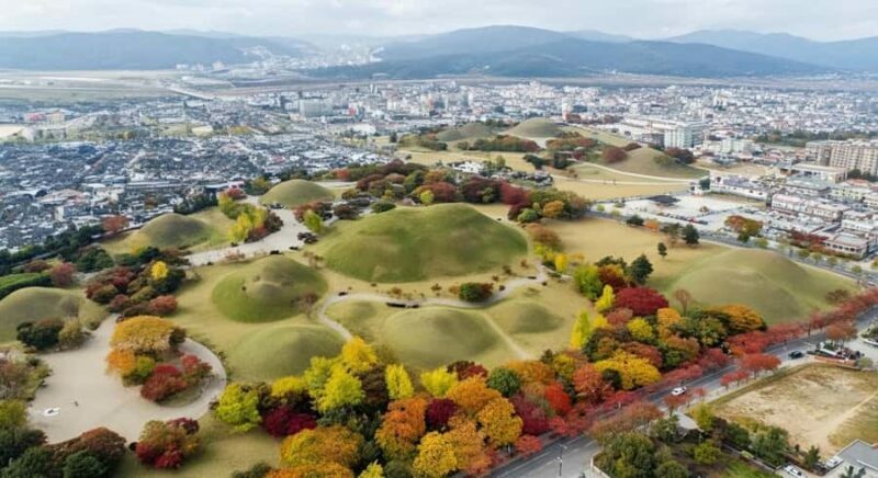 Busan: Gyeongju Full-Day Small-Group Tour with Hotel Pickup - An In-Depth Look at the Tour Experience