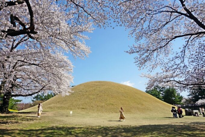 Busan: Gyeongju UNESCO World Heritage Guided Day Tour - Transportation