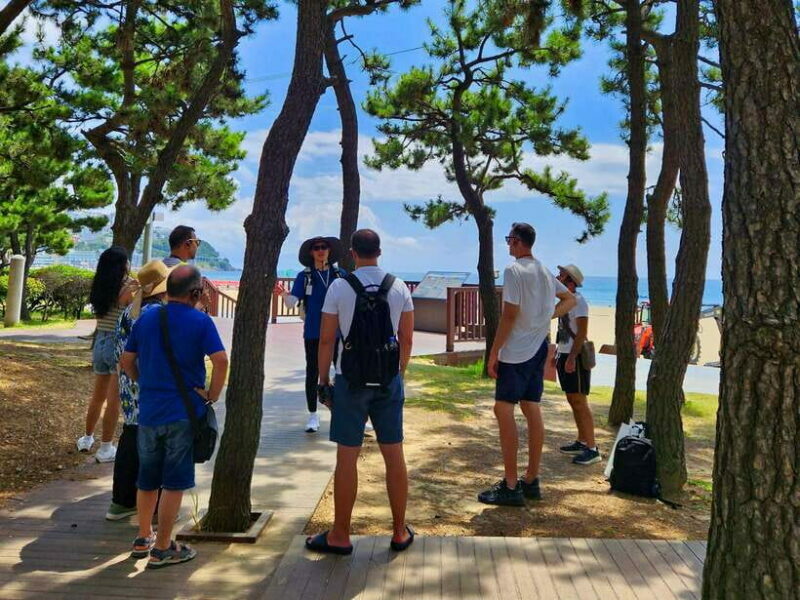 Busan: Haeundae 100-Minute Walking Tour - Key Points