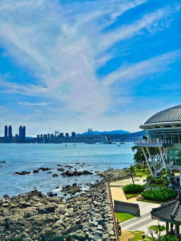 Busan: Haeundae 100-Minute Walking Tour - Why This Tour Offers Great Value